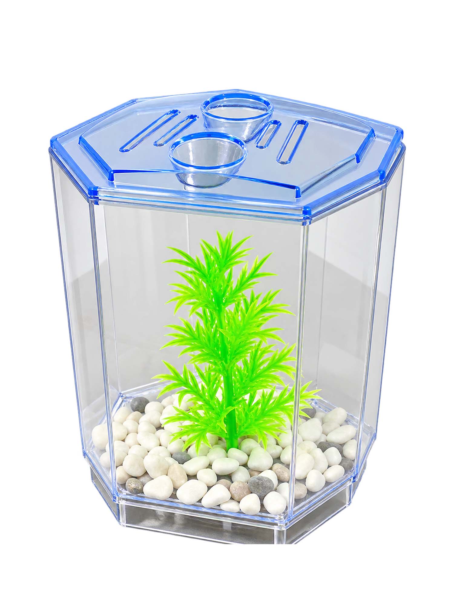 Betta House Single | Tekli Betta Akvaryumu